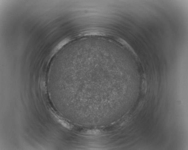X0000081320882200701181925