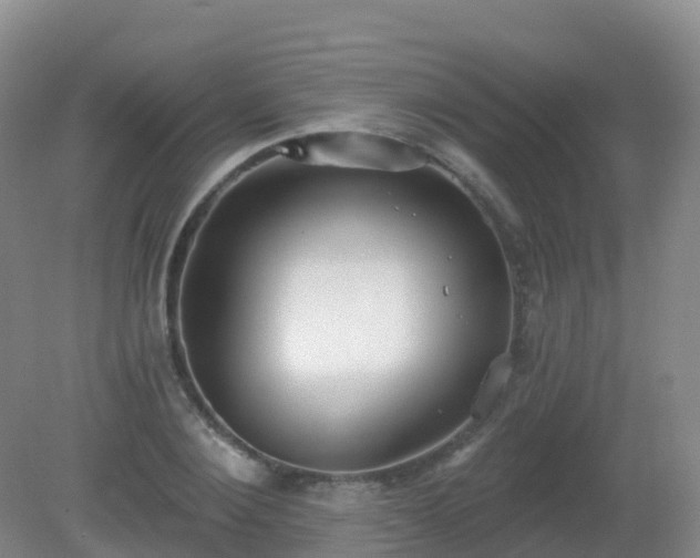 X0000081320884200701181925