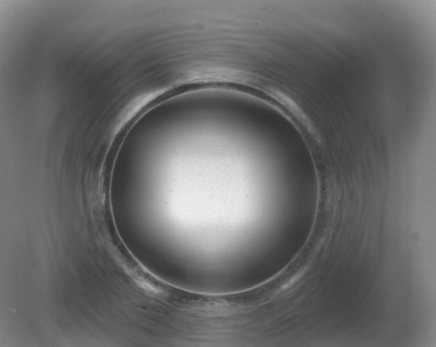 X0000081320885200701181925
