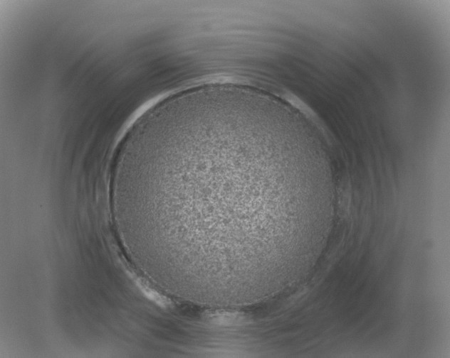 X0000081320886200701181925