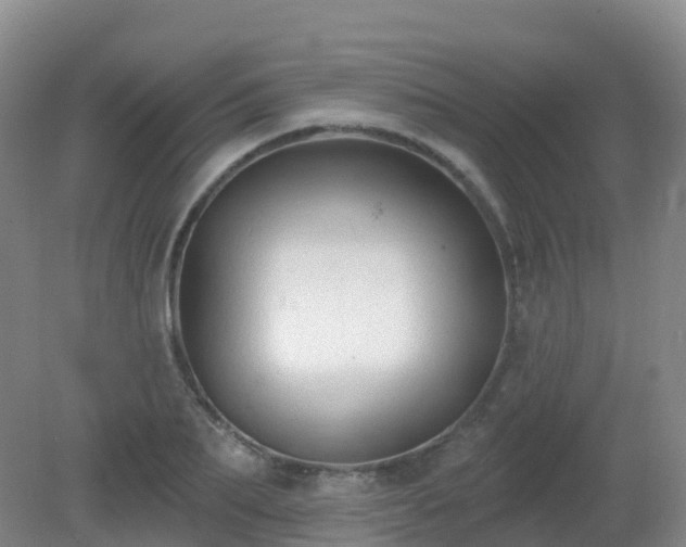 X0000081320887200701181925