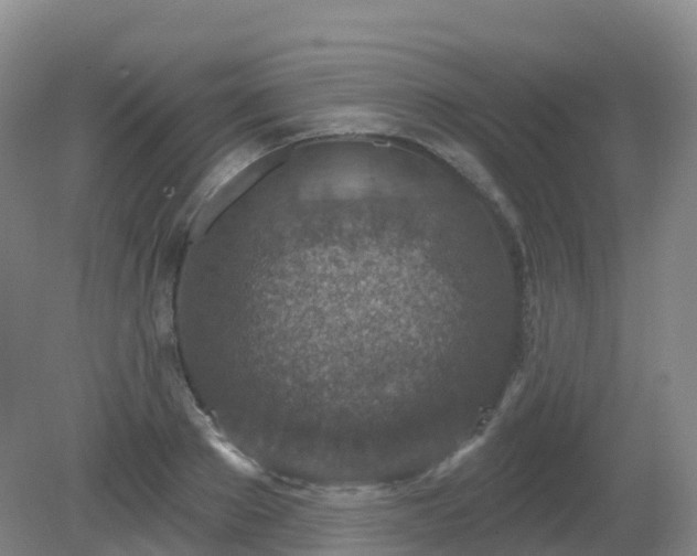 X0000081320889200701181925