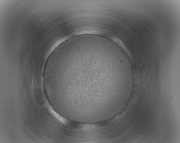 X0000081320890200701181925
