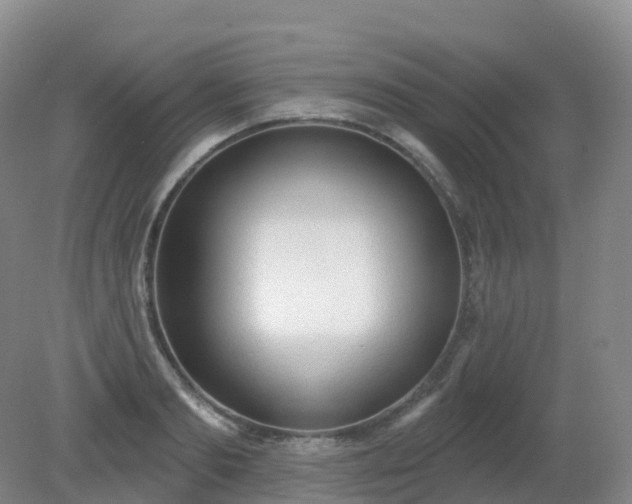 X0000081320893200701181925