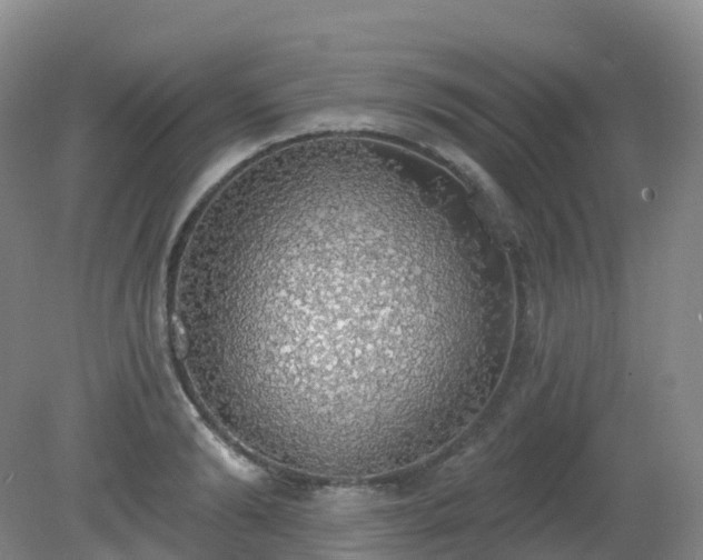 X0000081320894200701181925