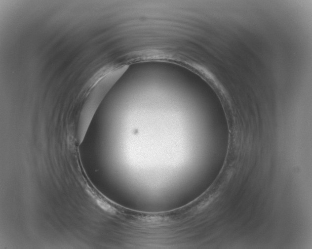 X0000081320897200701181925