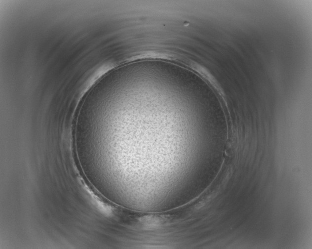 X0000081320898200701181925