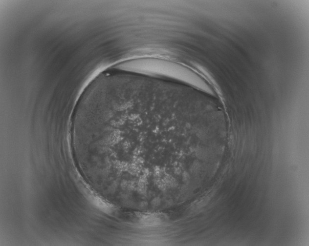 X0000081320899200701181925