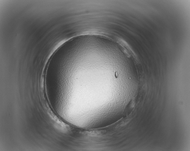 X0000081320900200701181925