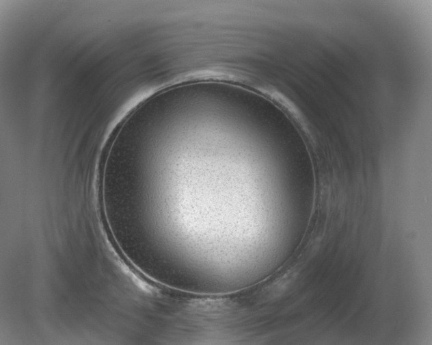 X0000081320902200701181925