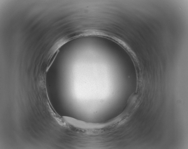 X0000081320905200701181925