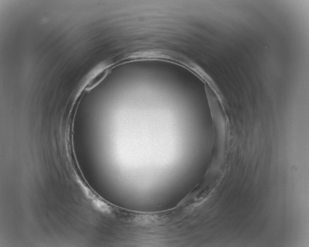 X0000081320909200701181925