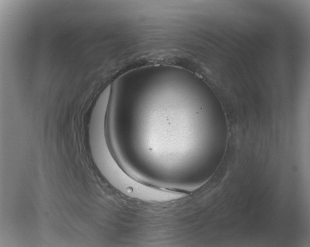 X0000081320913200701181924