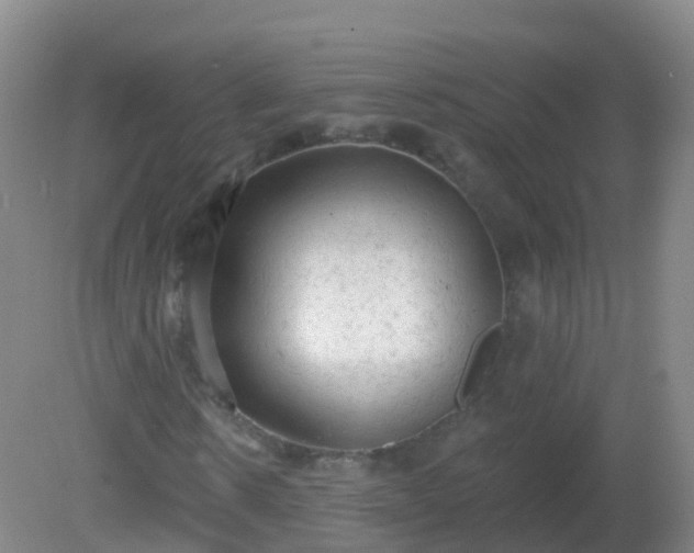 X0000081320914200701181924