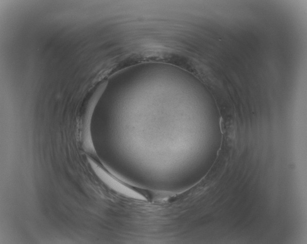 X0000081320916200701181924