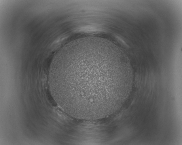 X0000081320917200701181924