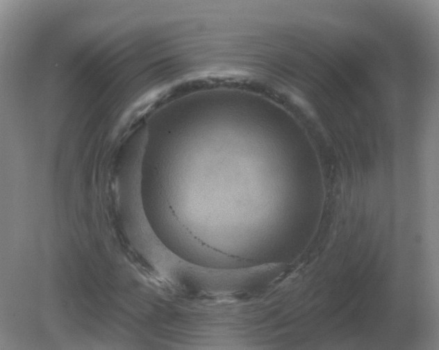 X0000081320920200701181924
