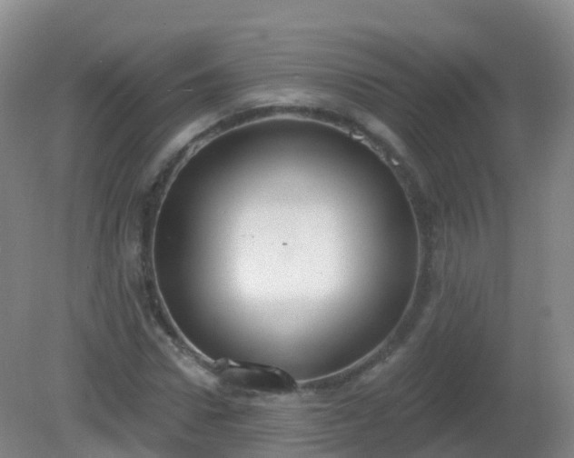 X0000081320922200701181924