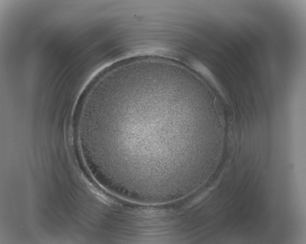 X0000081320924200701181924