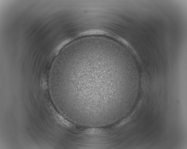 X0000081320929200701181924