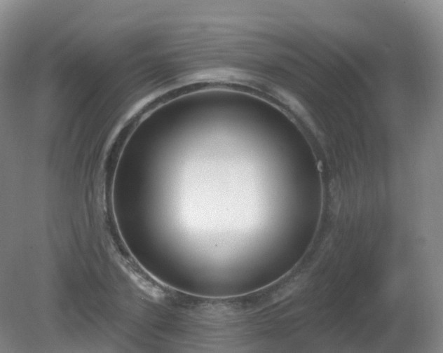 X0000081320931200701181924
