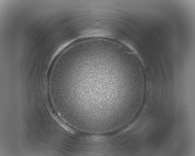 X0000081320933200701181924