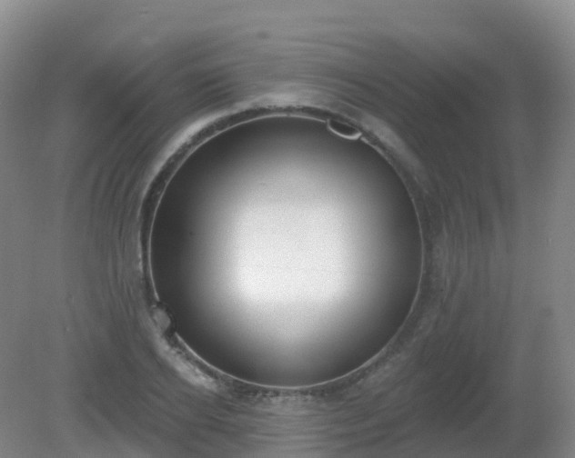 X0000081320934200701181924