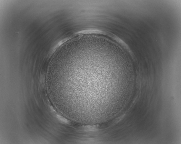 X0000081320937200701181924