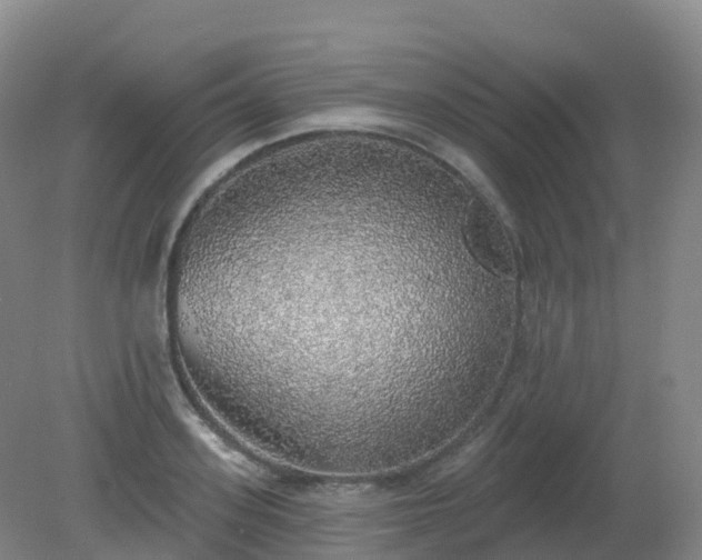 X0000081320939200701181924