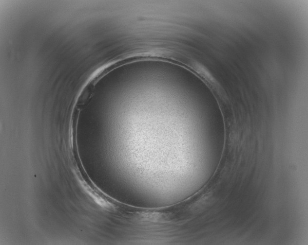 X0000081320940200701181924