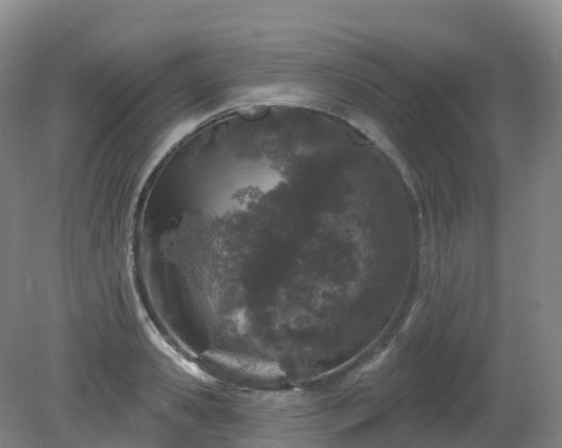 X0000081320941200701181924