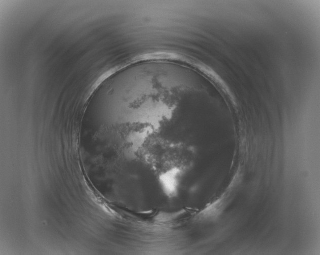 X0000081320945200701181924
