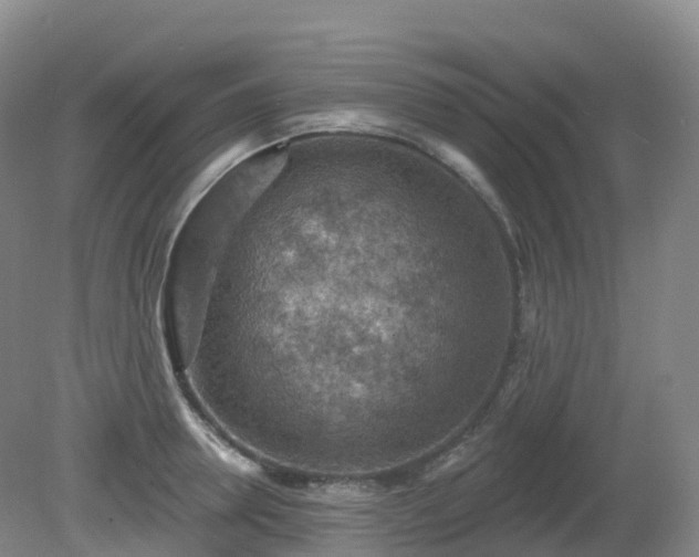 X0000081320946200701181925