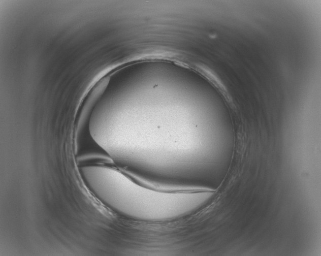 X0000081320948200701181925