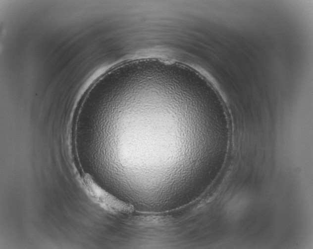 X0000081320949200701181925