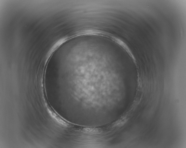X0000081320954200701181925