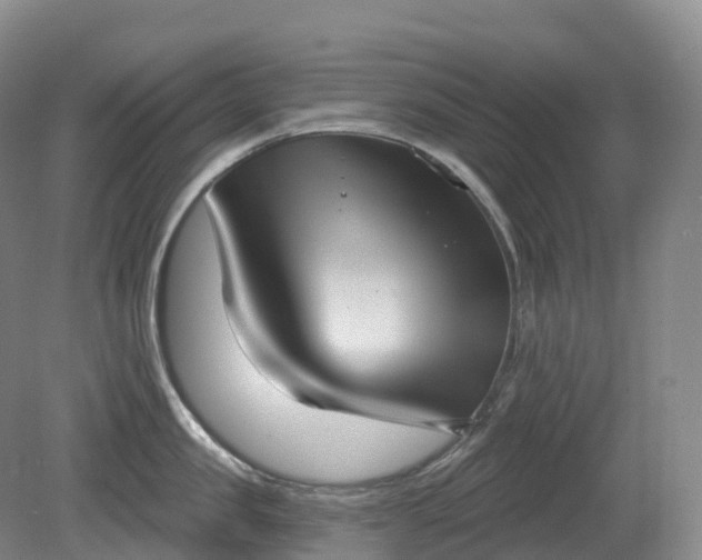 X0000081320957200701181925