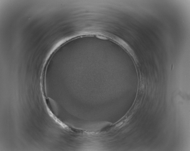 X0000081320958200701181925