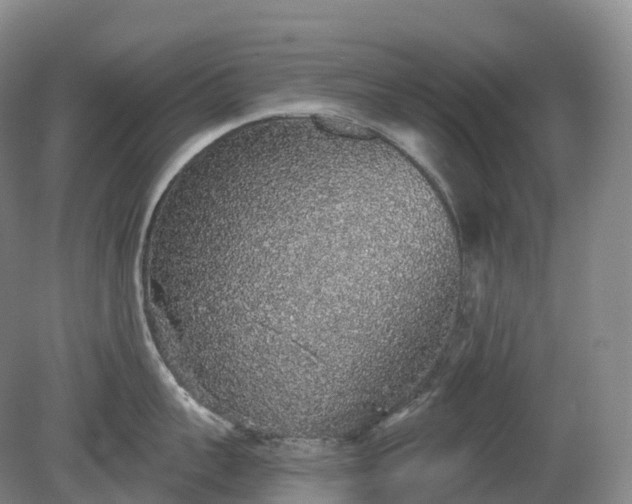 X0000081320959200701181925