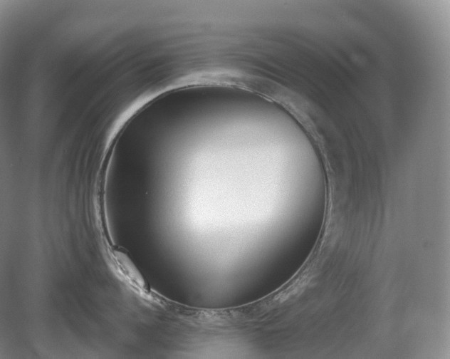 X0000081320960200701181925