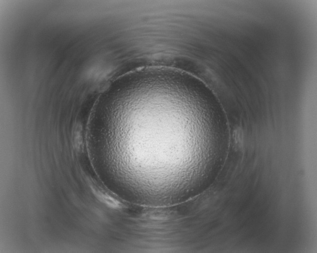 X0000081320963200701181924
