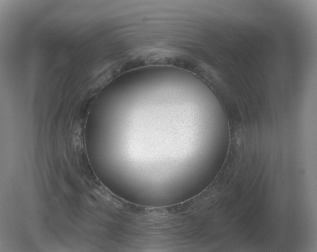 X0000081320964200701181924
