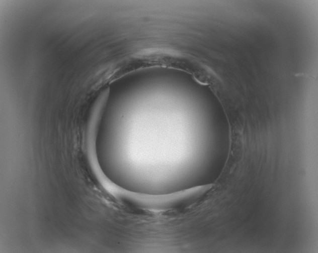 X0000081320965200701181924