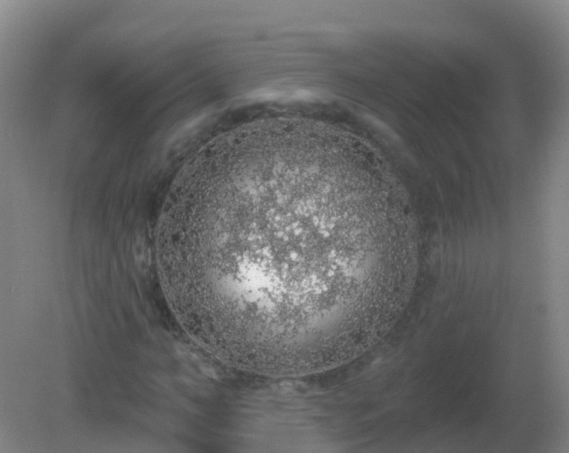 X0000081320966200701181924