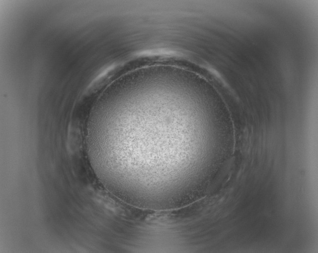 X0000081320967200701181924
