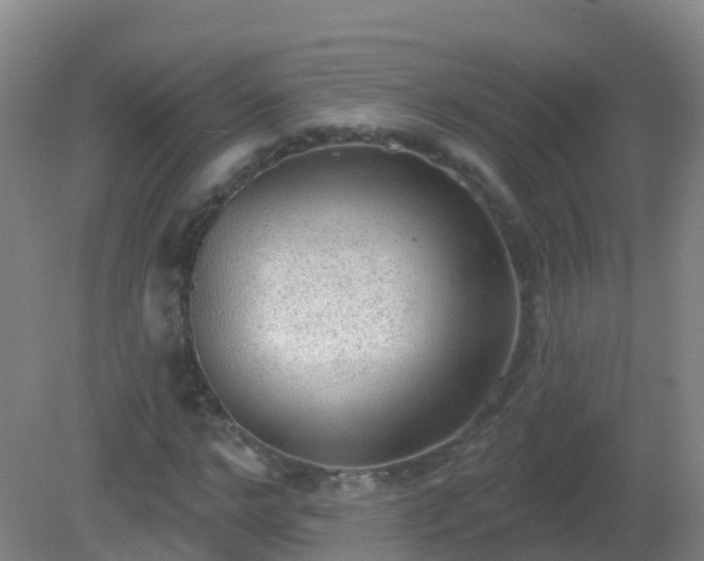 X0000081320968200701181924