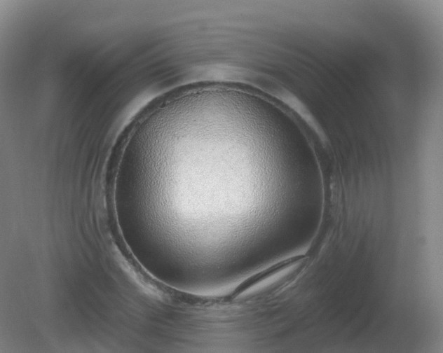 X0000081320972200701181924