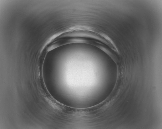 X0000081320973200701181924