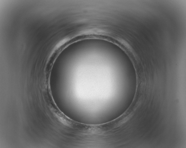 X0000081320974200701181924
