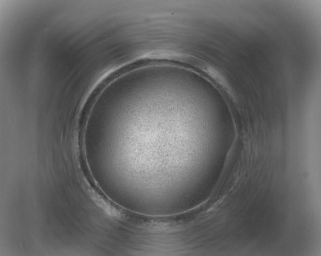 X0000081320976200701181924